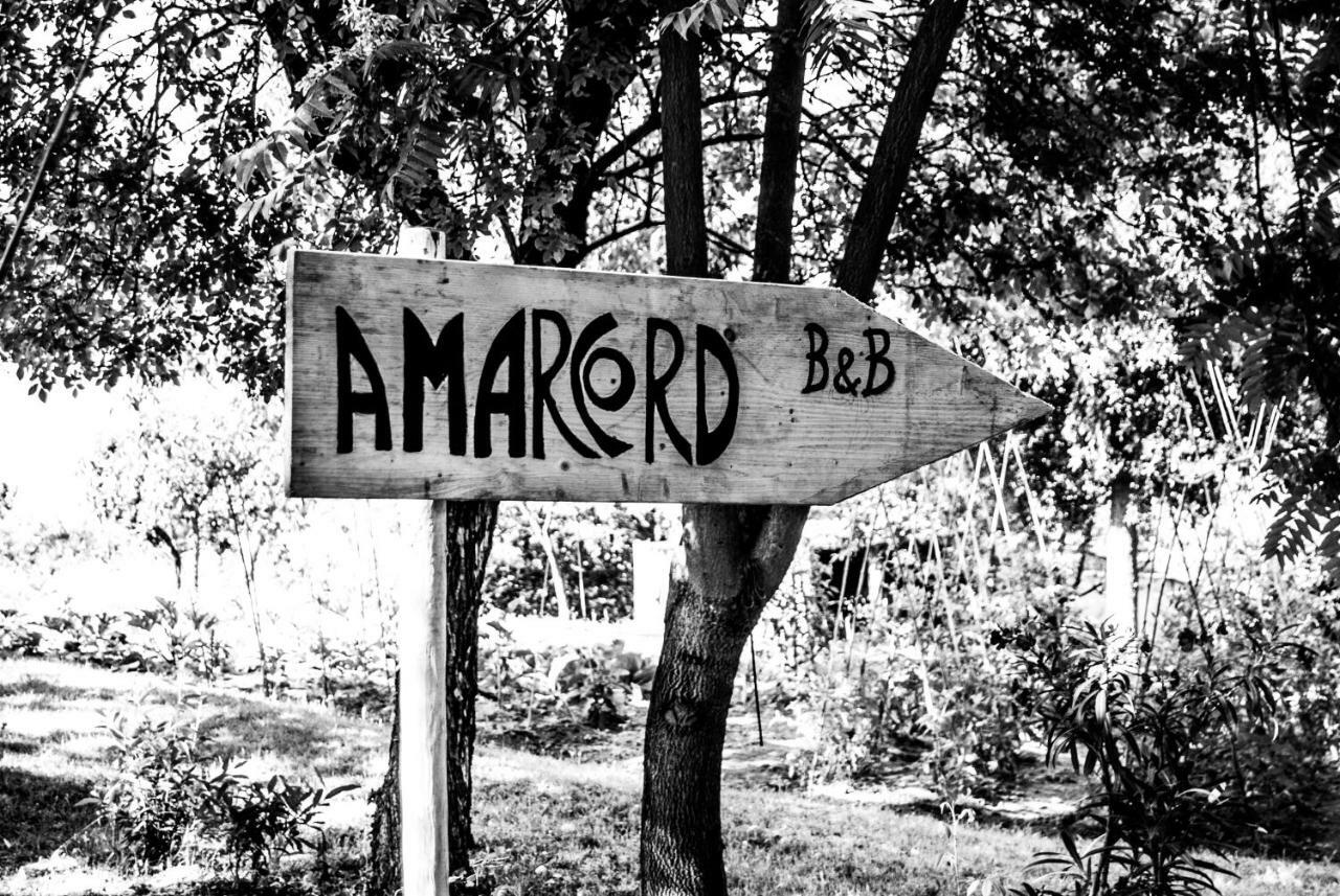 Amarcord Bed and Breakfast Bagnoregio Exterior foto