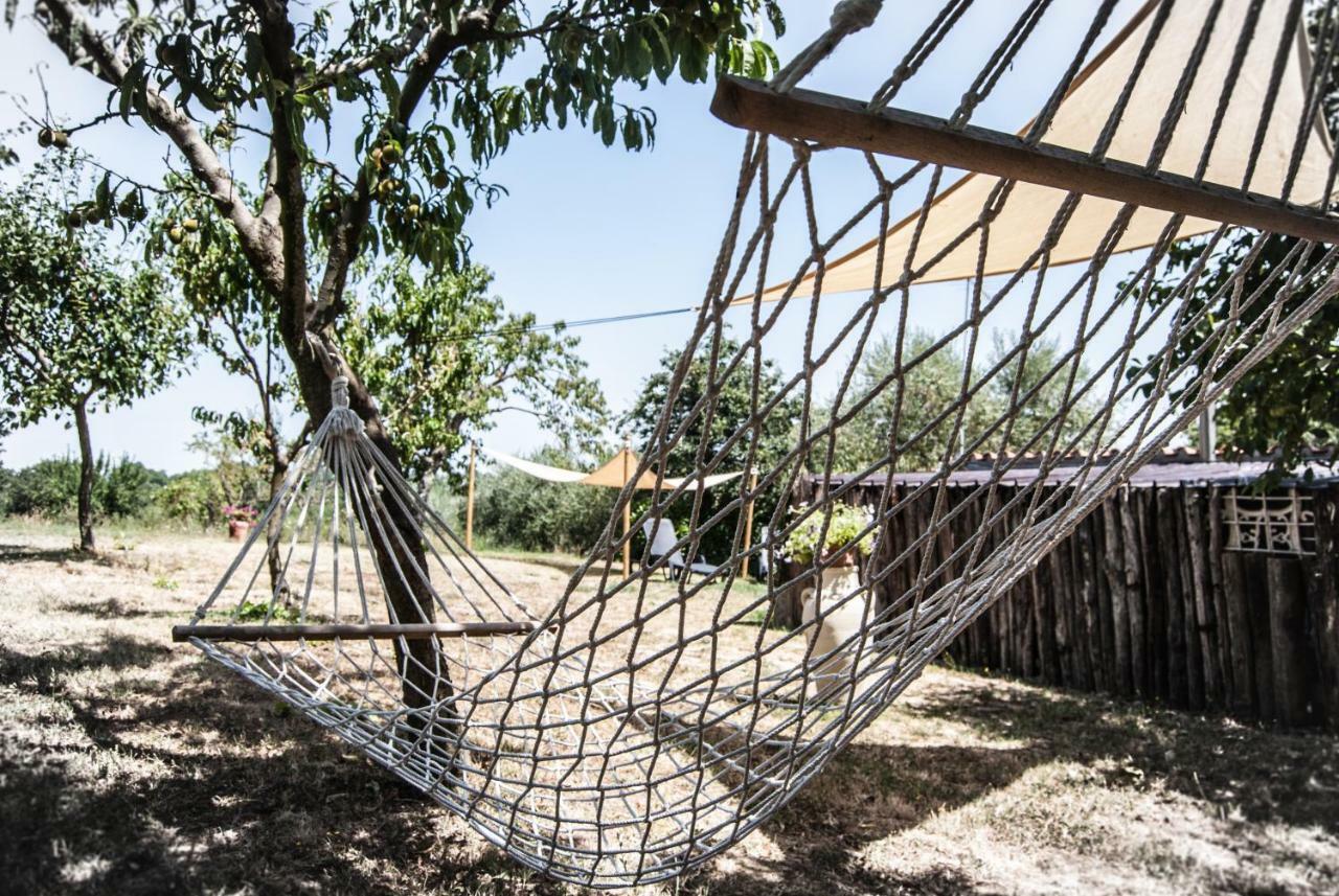 Amarcord Bed and Breakfast Bagnoregio Exterior foto