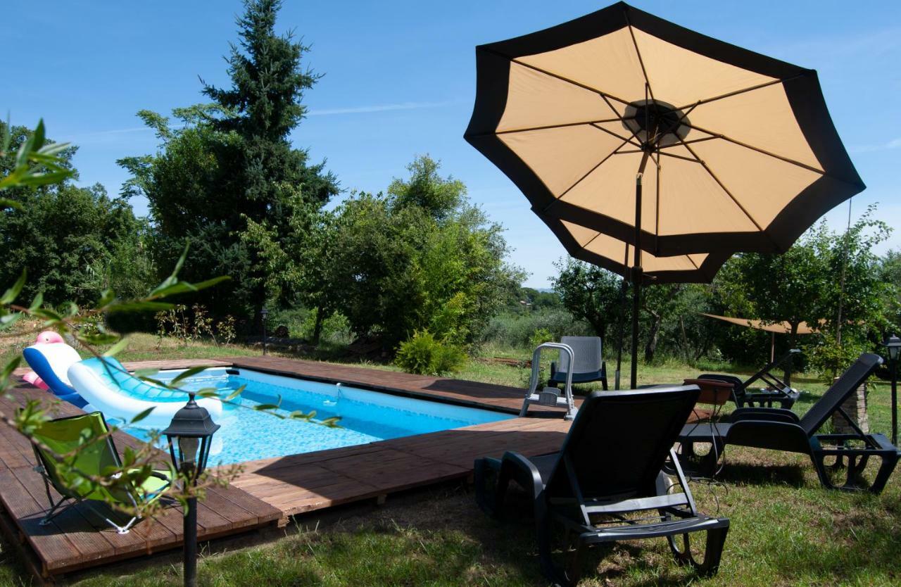 Bed and Breakfast Amarcord Bagnoregio Exterior foto